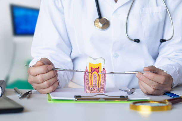 Best Tooth Pain Emergency Relief  in Lake Wazeecha, WI